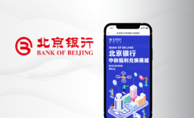 北京银行项目案例